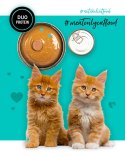 3Coty CHICKEN + DUCK for Kittens 80g