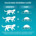 PURINA One Bifensis Adult Bogata w Kurczaka i Pełne Ziarna - sucha karma dla kota - 800 g