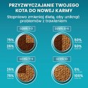 PURINA One Bifensis Adult Bogata w Kurczaka i Pełne Ziarna - sucha karma dla kota - 800 g
