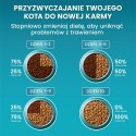 PURINA One Bifensis Senior 7+ Bogata w Kurczaka i Pełne Ziarna - sucha karma dla kota - 800 g