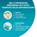 PURINA One Bifensis Senior 7+ Bogata w Kurczaka i Pełne Ziarna - sucha karma dla kota - 800 g