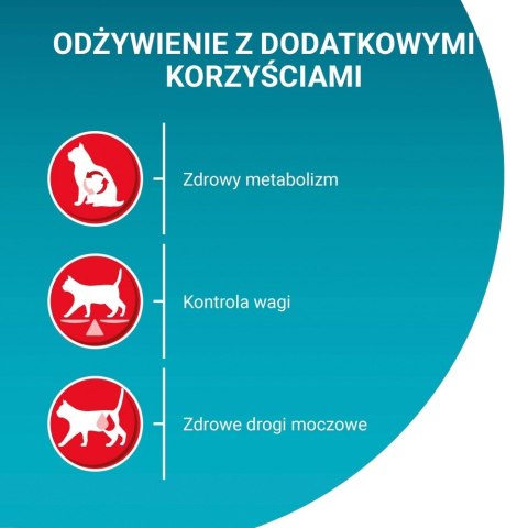 PURINA One Bifensis Sterilcat Wołowina - sucha karma dla kota - 800 g PURINA One Bifensis Sterilcat Wołowina - sucha karma dla kota - 800 g