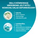 PURINA One Bifensis Sterilcat Wołowina - sucha karma dla kota - 800 g