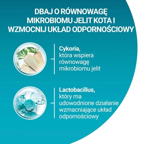 PURINA One Bifensis Sterilcat Wołowina - sucha karma dla kota - 800 g PURINA One Bifensis Sterilcat Wołowina - sucha karma dla kota - 800 g