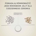 PURINA One Mini/Small Sensitive Łosoś, ryż - sucha karma dla psa - 800 g