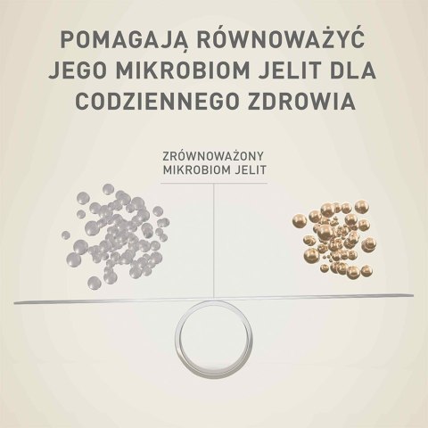 PURINA One Mini/Small Sensitive Łosoś, ryż - sucha karma dla psa - 800 g PURINA One Mini/Small Sensitive Łosoś, ryż - sucha karma dla psa - 800 g