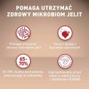 PURINA One Mini/Small Sensitive Łosoś, ryż - sucha karma dla psa - 800 g
