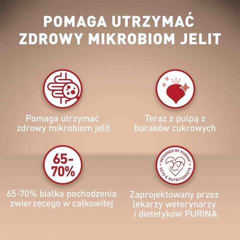 PURINA One Mini/Small Sensitive Łosoś, ryż - sucha karma dla psa - 800 g PURINA One Mini/Small Sensitive Łosoś, ryż - sucha karma dla psa - 800 g