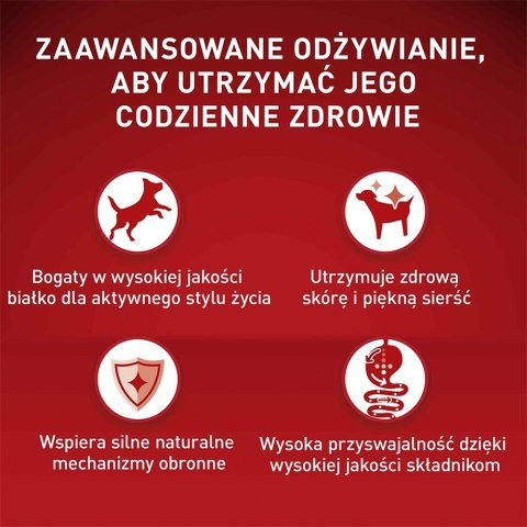 PURINA One Mini/Small Sensitive Łosoś, ryż - sucha karma dla psa - 800 g PURINA One Mini/Small Sensitive Łosoś, ryż - sucha karma dla psa - 800 g