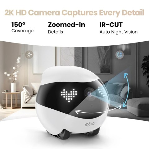 Enabot | Companion Robot | EBO AIR 2 | Compact | Maximum Memory Support 256G Enabot | Companion Robot | EBO AIR 2 | Compact | Maximum Memory Support 256G
