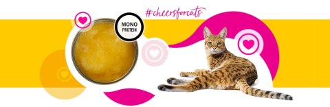 3Coty CHICKEN Cheers! Complementary feed for cats 75g 3Coty CHICKEN Cheers! Complementary feed for cats 75g