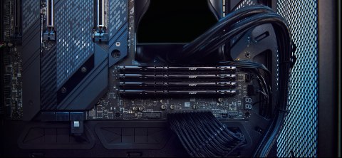 Kingston FURY DDR5 64GB (2x32GB) 5200MHz CL36 Beast Black EXPO Kingston FURY DDR5 64GB (2x32GB) 5200MHz CL36 Beast Black EXPO