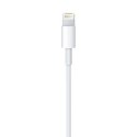 Lightning to USB Cable (0.5 m)