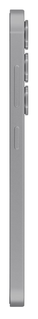 Samsung Galaxy S25 (S931) 5G DS 12/256GB Silver Samsung Galaxy S25 (S931) 5G DS 12/256GB Silver