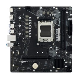 Płyta główna Biostar A620MS