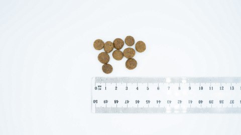 BULT Karma sucha z jagnię. dla psów małych ras 3kg