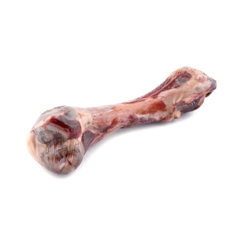 MACED kość z szynki parmeńskiej - przysmak dla psa - 1 szt. MACED kość z szynki parmeńskiej - przysmak dla psa - 1 szt.
