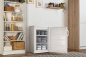 Zamrażarka GORENJE F492PW