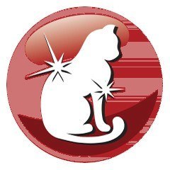 PREVITAL -Z wołowiną karma sucha - Pełnoporcjowa karma dla dorosłych kotów - 1,4kg PREVITAL -Z wołowiną karma sucha - Pełnoporcjowa karma dla dorosłych kotów - 1,4kg