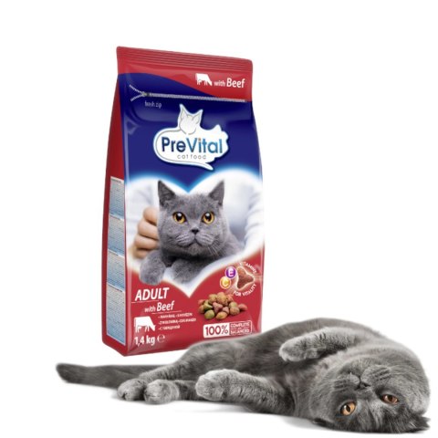 PREVITAL -Z wołowiną karma sucha - Pełnoporcjowa karma dla dorosłych kotów - 1,4kg PREVITAL -Z wołowiną karma sucha - Pełnoporcjowa karma dla dorosłych kotów - 1,4kg