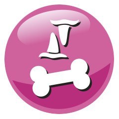 PREVITAL kurczak karma sucha karma kocięta 0,95kg PREVITAL kurczak karma sucha karma kocięta 0,95kg
