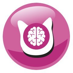 PREVITAL kurczak karma sucha karma kocięta 0,95kg PREVITAL kurczak karma sucha karma kocięta 0,95kg