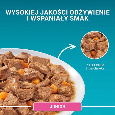 PURINA ONE JUNIOR łosoś/marchew 85g