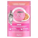 PURINA ONE JUNIOR łosoś/marchew 85g