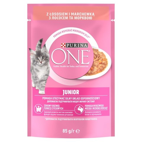 PURINA ONE JUNIOR łosoś/marchew 85g
