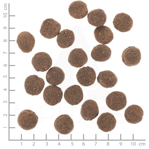 WOLFSBLUT Vetline Hypoallergenic 2kg WOLFSBLUT Vetline Hypoallergenic 2kg