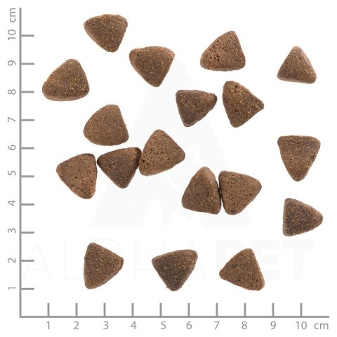 WOLFSBLUT Wide Plain Light horse/sweet pota. 12,5kg WOLFSBLUT Wide Plain Light horse/sweet pota. 12,5kg
