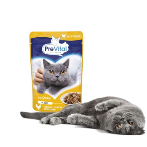 PREVITAL kurczak w galaretce dla kotów 100g PREVITAL kurczak w galaretce dla kotów 100g