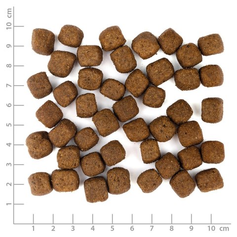 WOLFSBLUT Grey Peak Adult goat/sweet potatos 12,5kg WOLFSBLUT Grey Peak Adult goat/sweet potatos 12,5kg