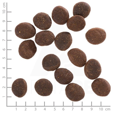 WOLFSBLUT Polar Night Adult reindeer/pumpkin 12,5kg WOLFSBLUT Polar Night Adult reindeer/pumpkin 12,5kg