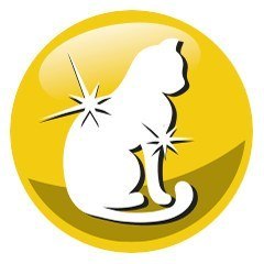 PREVITAL kurczak karma sucha dla kotów 300g