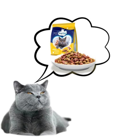 PREVITAL kurczak karma sucha dla kotów 300g