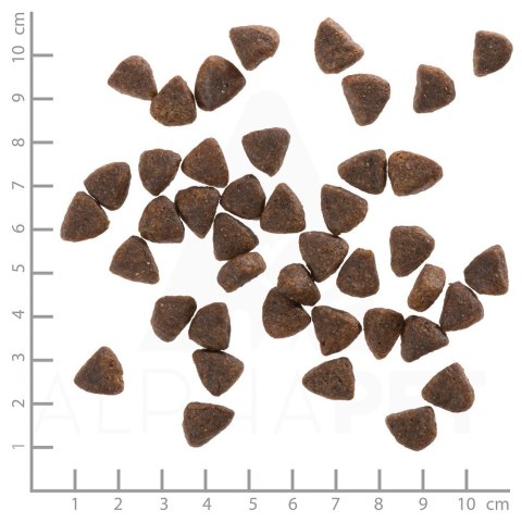WOLFSBLUT Wide Plain Small horse/sweet potato 7,5kg WOLFSBLUT Wide Plain Small horse/sweet potato 7,5kg