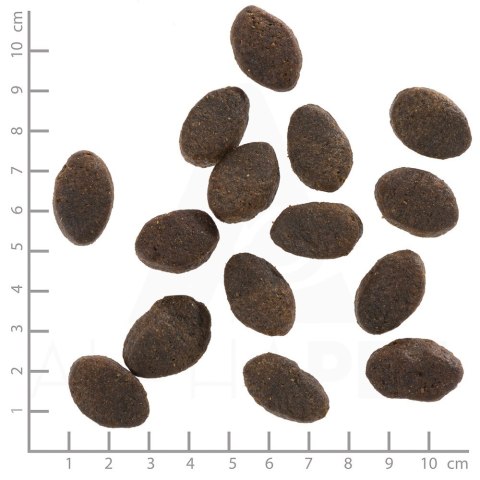 WOLFSBLUT Wild Pacific Adult fish/potatos 12,5kg WOLFSBLUT Wild Pacific Adult fish/potatos 12,5kg