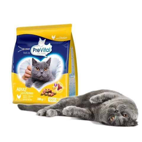 PREVITAL kurczak karma sucha dla kotów 300g