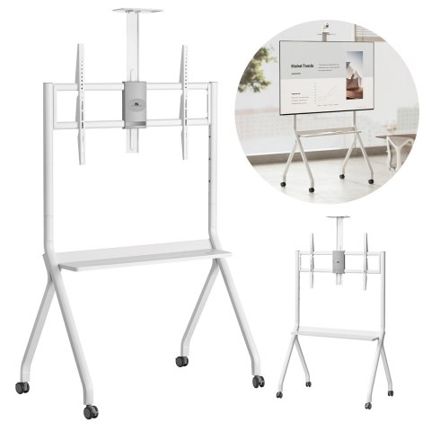 MACLEAN STAND / WÓZEK DO TV, PÓŁKA NA KAMERĘ, NA KÓŁKACH, 55-100", MAX. OBCIĄŻENIE 120KG/10KG PÓŁKA, MAX. VESA 900X600 MC-114 MACLEAN STAND / WÓZEK DO TV, PÓŁKA NA KAMERĘ, NA KÓŁKACH, 55-100", MAX. OBCIĄŻENIE 120KG/10KG PÓŁKA, MAX. VESA 900X600 MC-114