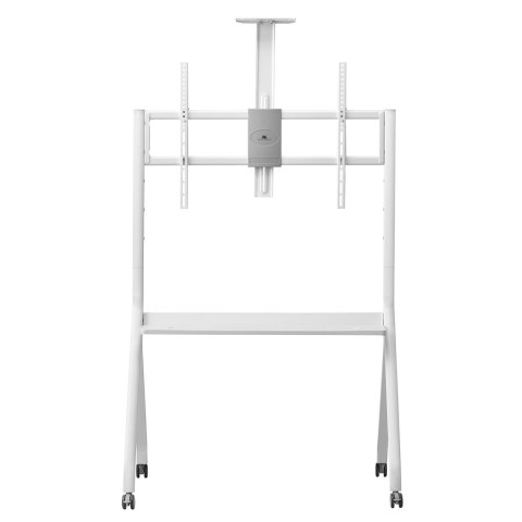 MACLEAN STAND / WÓZEK DO TV, PÓŁKA NA KAMERĘ, NA KÓŁKACH, 55-100", MAX. OBCIĄŻENIE 120KG/10KG PÓŁKA, MAX. VESA 900X600 MC-114 MACLEAN STAND / WÓZEK DO TV, PÓŁKA NA KAMERĘ, NA KÓŁKACH, 55-100", MAX. OBCIĄŻENIE 120KG/10KG PÓŁKA, MAX. VESA 900X600 MC-114