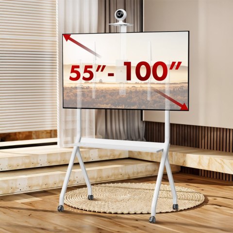 MACLEAN STAND / WÓZEK DO TV, PÓŁKA NA KAMERĘ, NA KÓŁKACH, 55-100", MAX. OBCIĄŻENIE 120KG/10KG PÓŁKA, MAX. VESA 900X600 MC-114 MACLEAN STAND / WÓZEK DO TV, PÓŁKA NA KAMERĘ, NA KÓŁKACH, 55-100", MAX. OBCIĄŻENIE 120KG/10KG PÓŁKA, MAX. VESA 900X600 MC-114