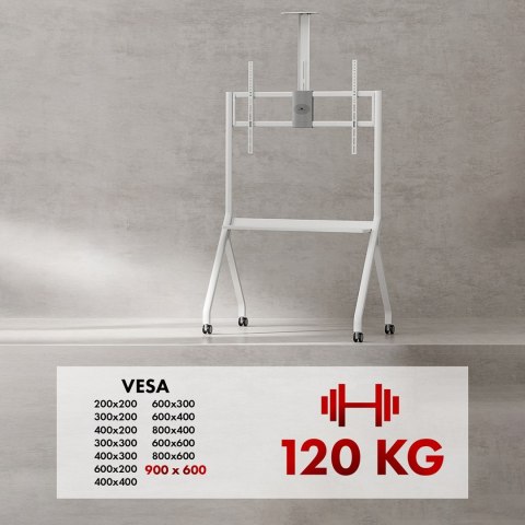 MACLEAN STAND / WÓZEK DO TV, PÓŁKA NA KAMERĘ, NA KÓŁKACH, 55-100", MAX. OBCIĄŻENIE 120KG/10KG PÓŁKA, MAX. VESA 900X600 MC-114 MACLEAN STAND / WÓZEK DO TV, PÓŁKA NA KAMERĘ, NA KÓŁKACH, 55-100", MAX. OBCIĄŻENIE 120KG/10KG PÓŁKA, MAX. VESA 900X600 MC-114
