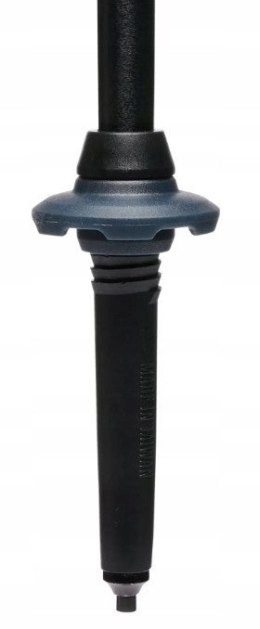 Kije trekkingowe Black Diamond Trail Trekking Poles Pine Smoke