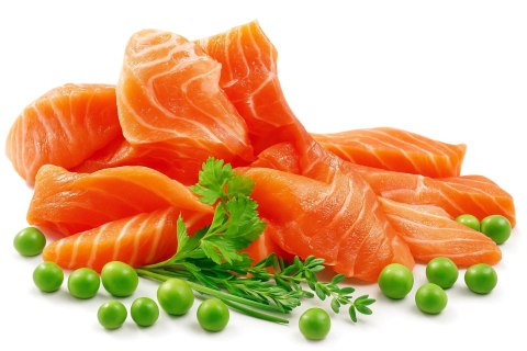 SHELMA karma sucha dla kotów sterylizowanych. Z łososiem 1.4kg