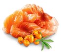 SHELMA saszetka dla kociąt z łososiem i rokitnikiem 85g