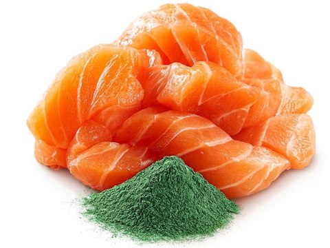 SHELMA saszetka z łososiem i spiruliną dla kota 85g SHELMA saszetka z łososiem i spiruliną dla kota 85g