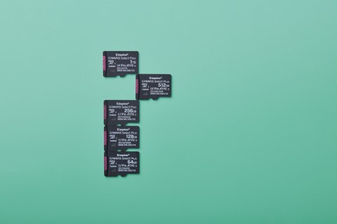 KINGSTON microSDXC 256GB Canvas Select Plus Gen3