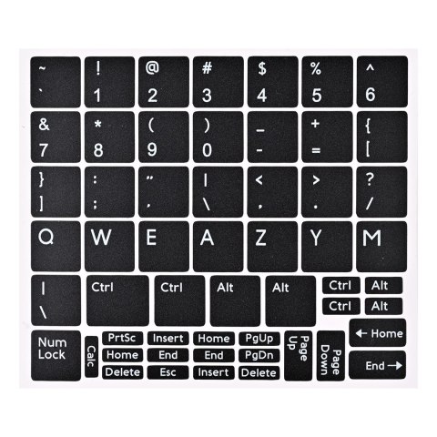 DELL LATITUDE 5430 i5-1235U 16GB 256GB SSD 14" FHD Win11pro + zasilacz UŻYWANY