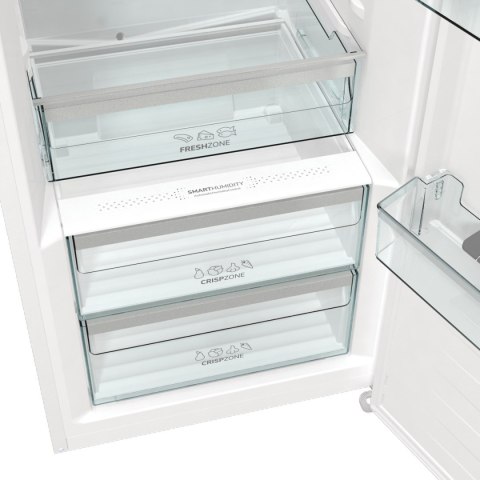 Chłodziarka GORENJE R619EAW6 Chłodziarka GORENJE R619EAW6